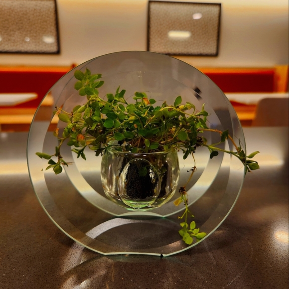 Beautiful Beveled Double Glass Tealight/Plant Holder - Picture 1 of 7